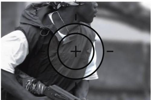e.g. External Cam...Aiming Systems